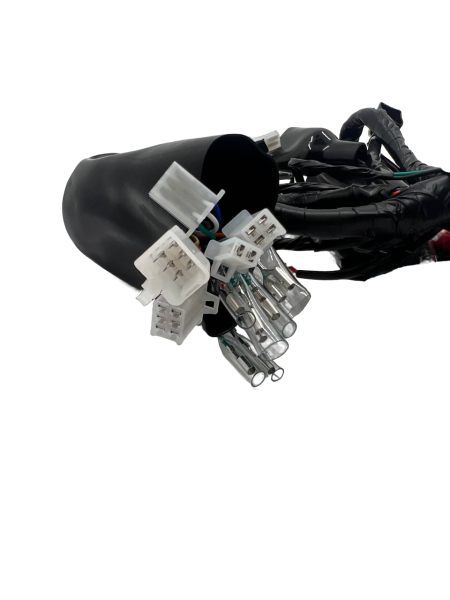Жгут электропроводки Regulmoto DUKE