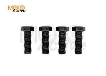 Болты крепления звезды ведомой М12, Sport 003