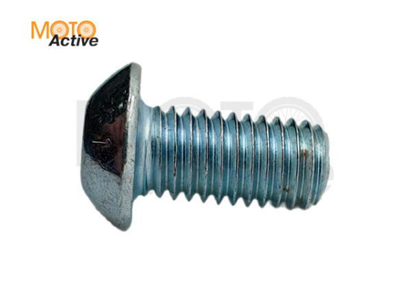 Болт крепления тормозного диска заднего XMR 200