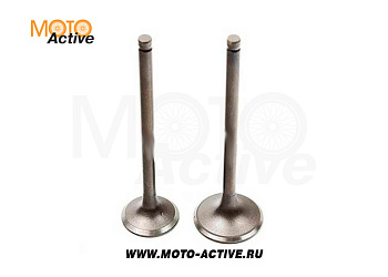 Клапаны (компл. 2шт) 156FMI СВ125D