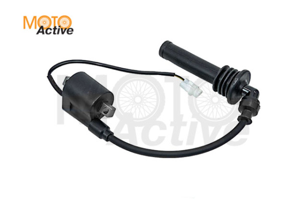 Катушка зажигания со свечным колпачком Regulmoto Nibbi 300NC