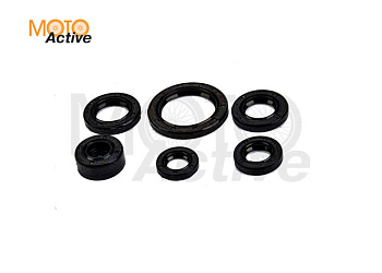 Сальник (полный набор) 152FMI 110см3 X-TECH