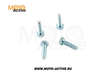 Комплект болтов тормозного диска (4шт.) SM-PARTS SM-DB08