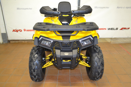 Запчасти для 200 WILD TRACK X