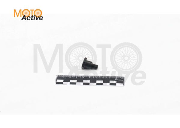 Болт крепления натяжителя ГРМ 139FMB,147FMH,152FMH 50-125см3