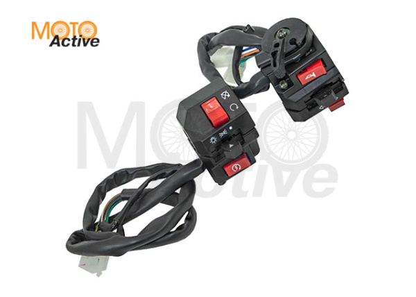 Блоки переключателей Regulmoto Duke