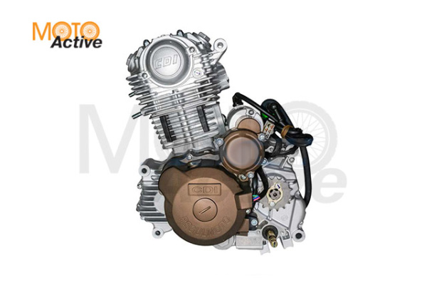 Двигатель CBB200 (ZS165FMM)