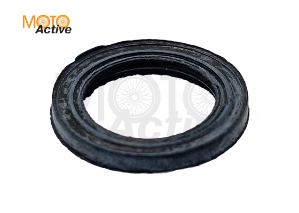 Сальник 15.5х22.5х3 WELS RT (319014002001)