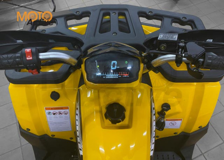 Запчасти для 200 WILD TRACK LUX Желтый