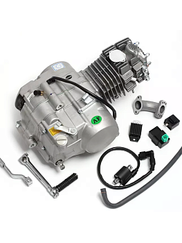 Двигатель в сборе YX W063