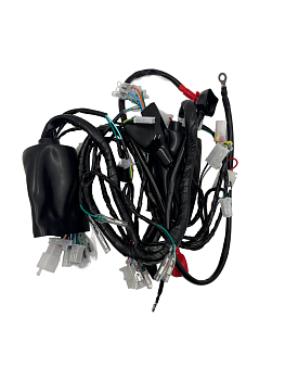 Жгут электропроводки Regulmoto DUKE