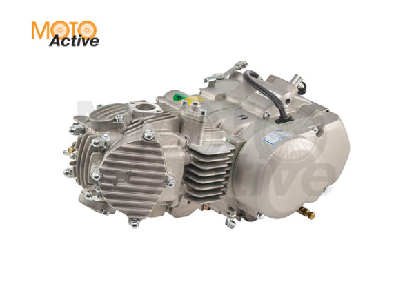 Двигатель в сборе YX 1P60FMK (W160-2) 160см3, кикстартер 2-х клапанный