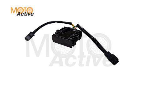 Стабилизатор напряжения Regulmoto Duke