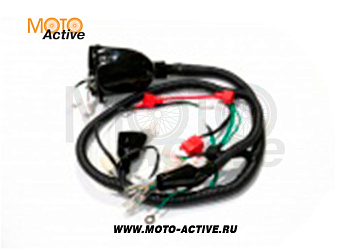 Жгут проводки для двиг.ZS190 CN