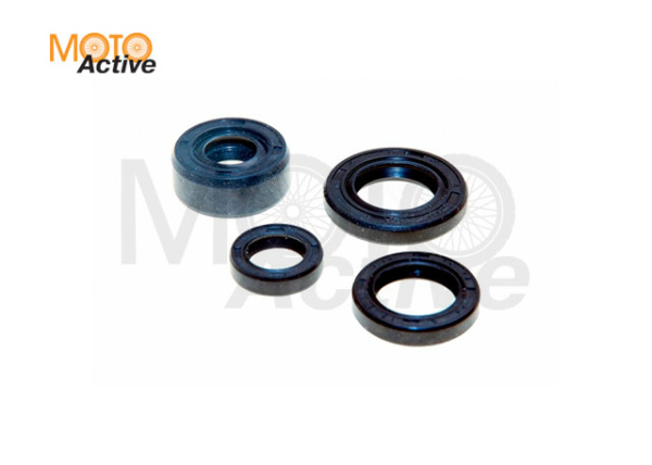 Сальники двигателя (компл.) ZS155