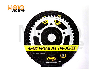 Звезда ведомая AFAM 10508-45