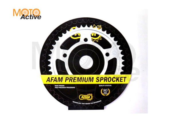 Звезда ведомая AFAM 10508-45