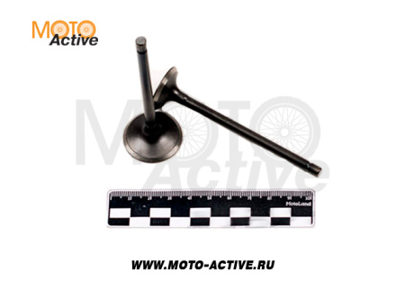 Клапаны (компл. 2шт) 4T двиг. 161FMJ (CB150D), 169FML (CB200)