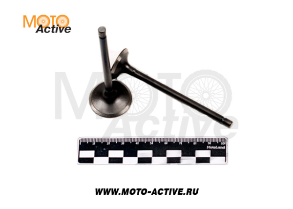 Клапаны (компл. 2шт) 4T двиг. 161FMJ (CB150D), 169FML (CB200)