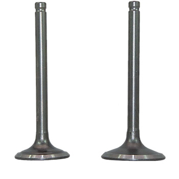 Клапаны впуск/ выпуск ATV125, компл.