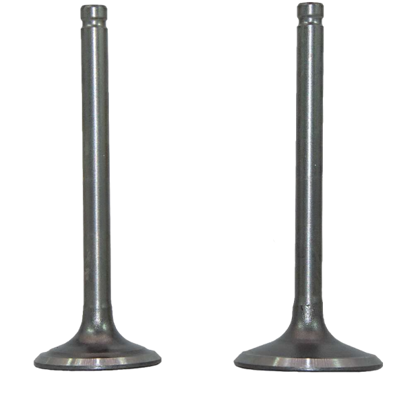 Клапаны впуск/ выпуск ATV125, компл.