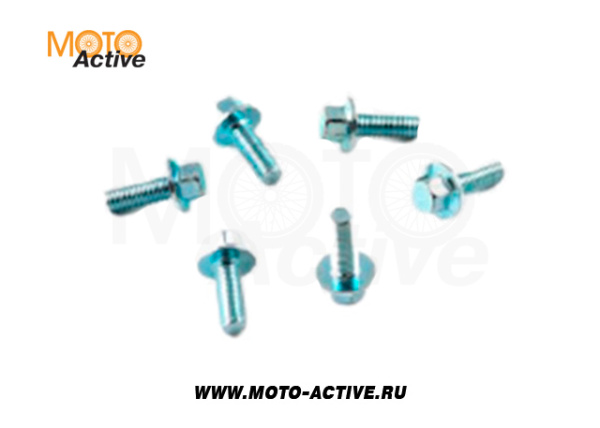 Комплект болтов тормозного диска (6шт.) SM-PARTS SM-DB06