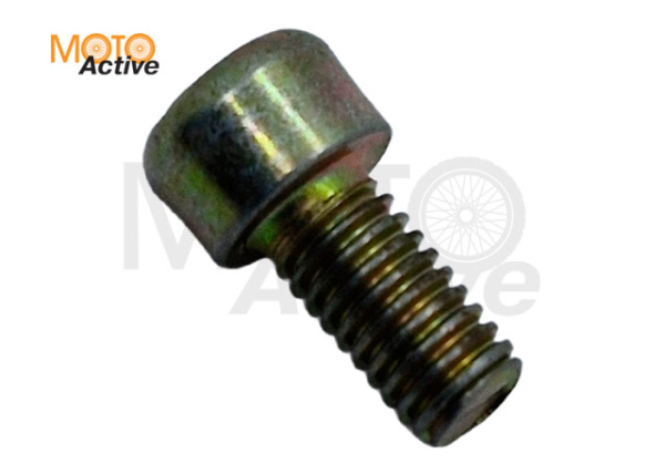 Болт М5х10 WELS EVOX200 (403005016001)