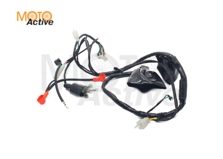 Жгут электропроводки Sport 003 CB250-F