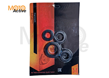 Набор сальников 19.8х30х5/17х30х6/42х7х5/16.4х30х5 139QMB 50/80см3