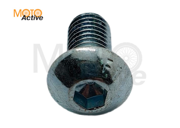 Болт крепления тормозного диска заднего XMR 200