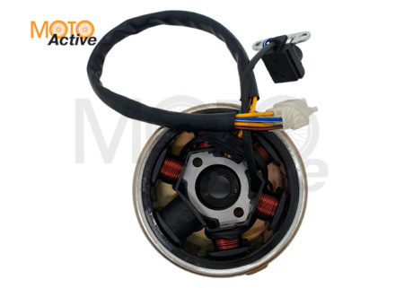 Генератор в сборе, 6 катушек, с обгонной муфтой YX125-YX160 (WW0561)